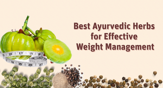 Top Ayurvedic Herbs for Effective Weight Management