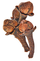 Clove extract supplement product image
