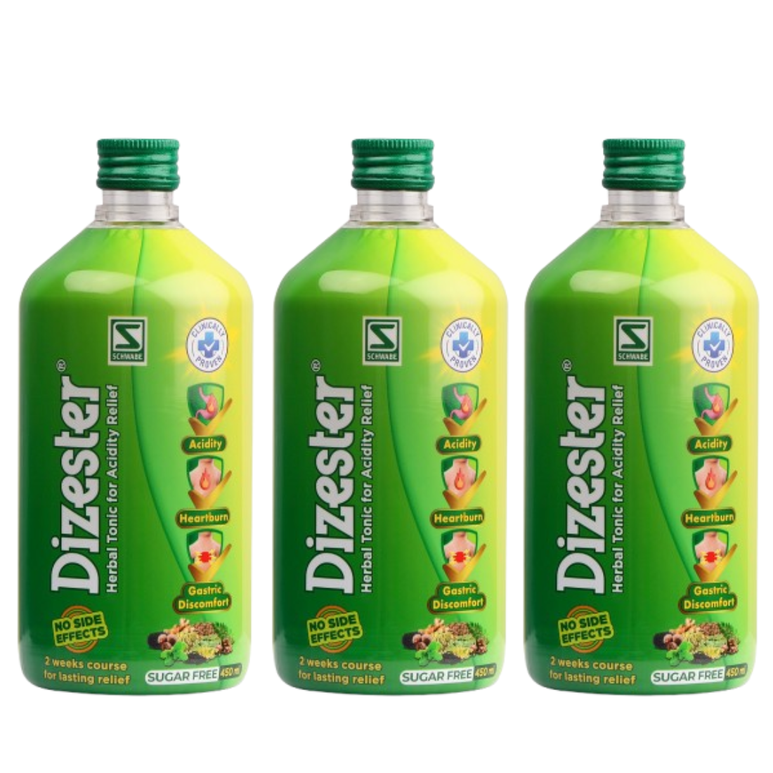 Dizester Herbal Tonic