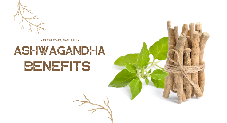 Ashwagandha Health Benefits