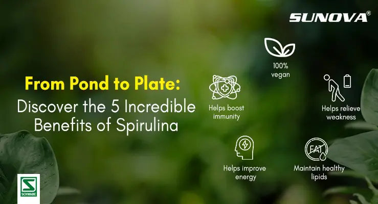 From Pond to Plate: Discover the 5 Incredible Benefits of Spirulina