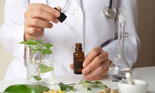 The Future of Herbal Medicines: How Technology is Changing The Way We Use Herbs for Health?