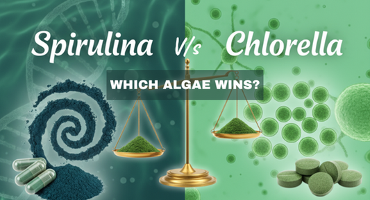 Which Algae Wins? Spirulina or Chlorella for Detox & Wellness