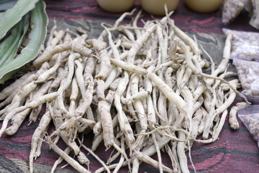 Ashwagandha-A Popular Indian Herb in Daily Wellness Routines