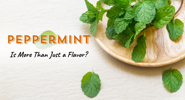 Why Peppermint Is More Than Just A Flavor Health Benefits You Should Know