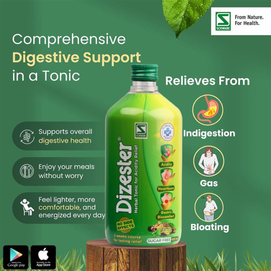 Dizester Herbal Tonic