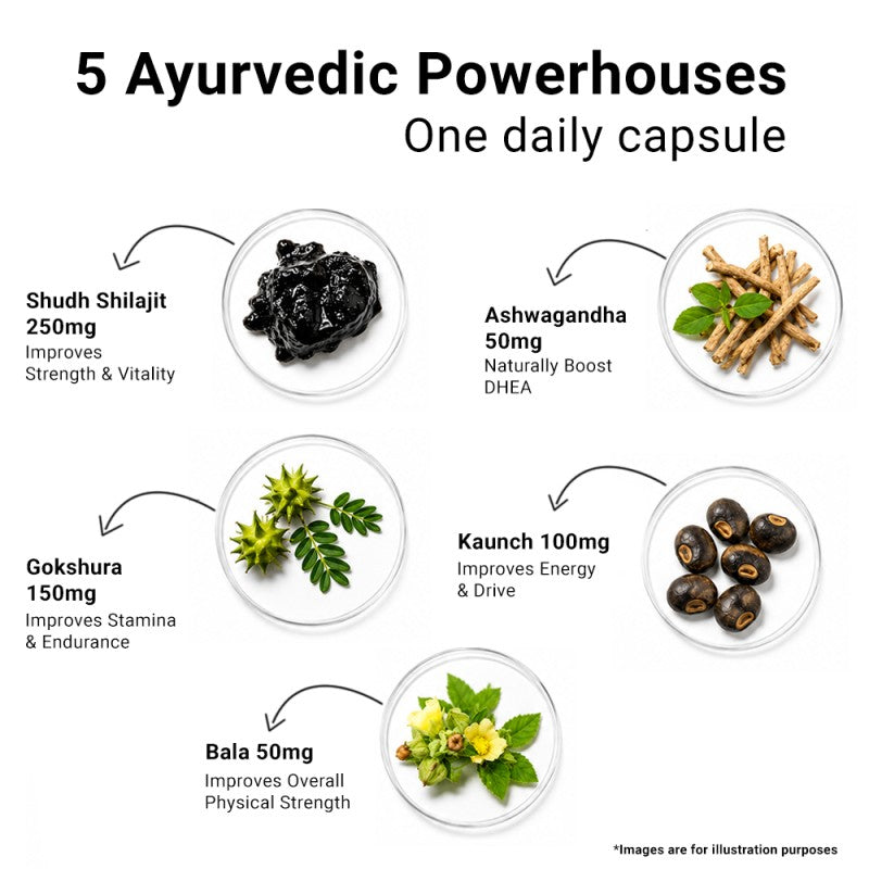 Sunova Shilajit Capsules