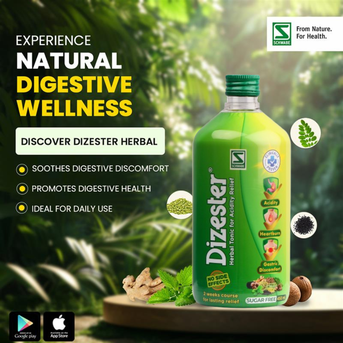 Dizester Herbal Tonic
