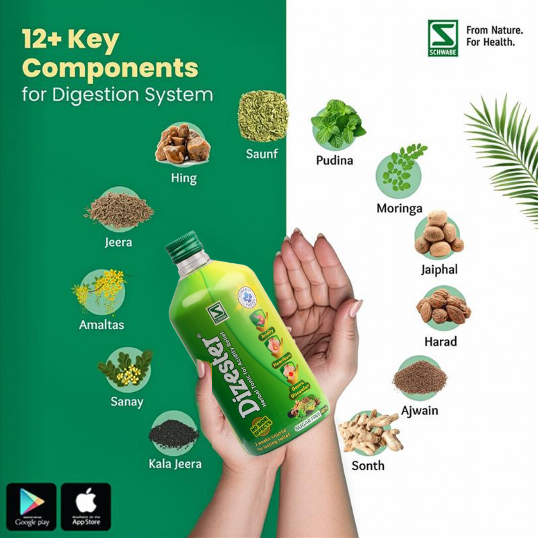 Dizester Herbal Tonic