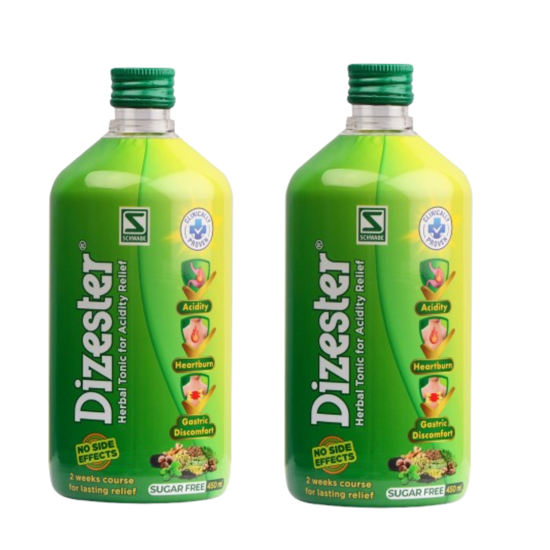 Dizester Herbal Tonic