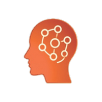 <p>Past exposure or vaccination gives the body a memory response to fight current virus.</p>