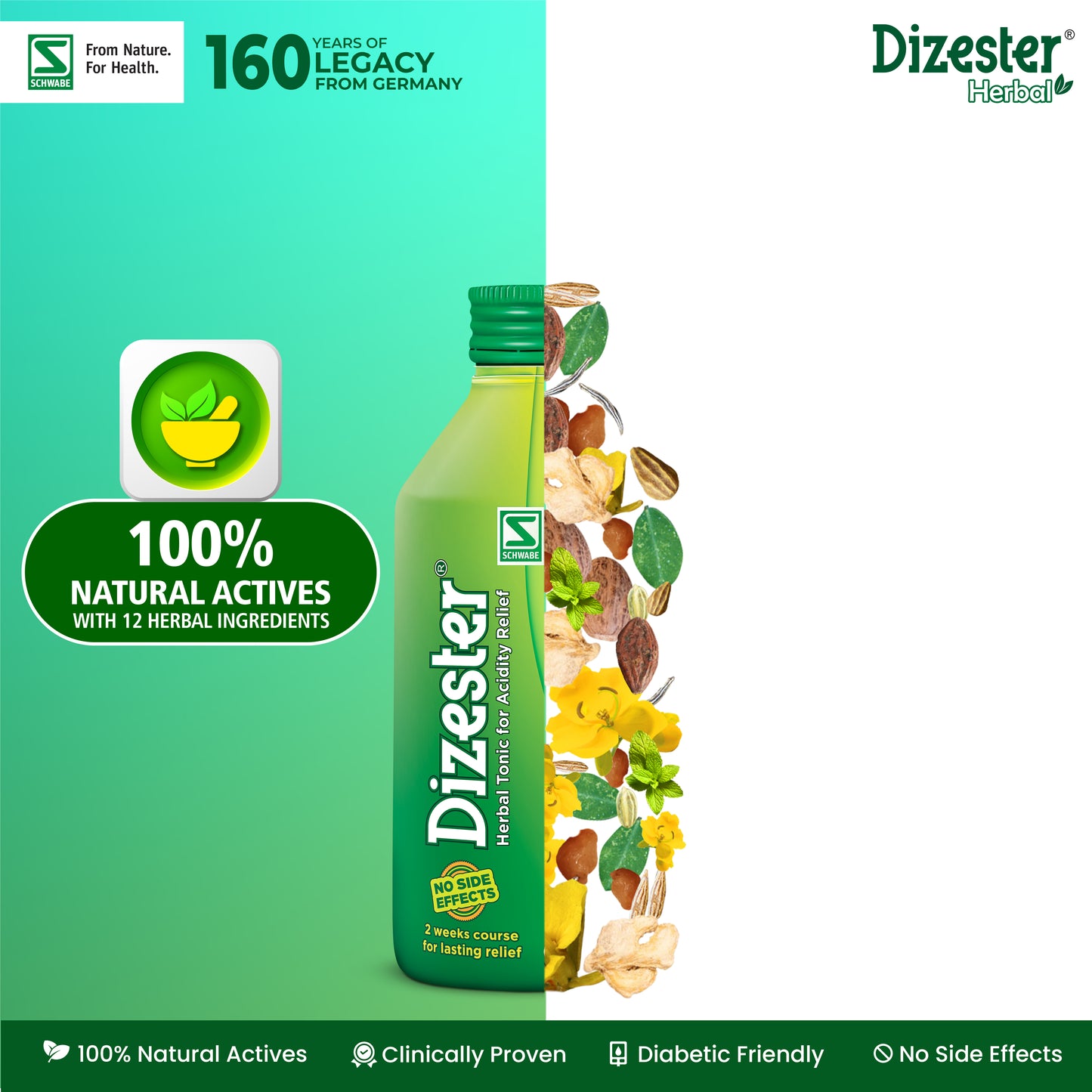 Dizester Herbal Tonic