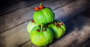 Garcinia Cambogia Extract: Weight Loss Supplement