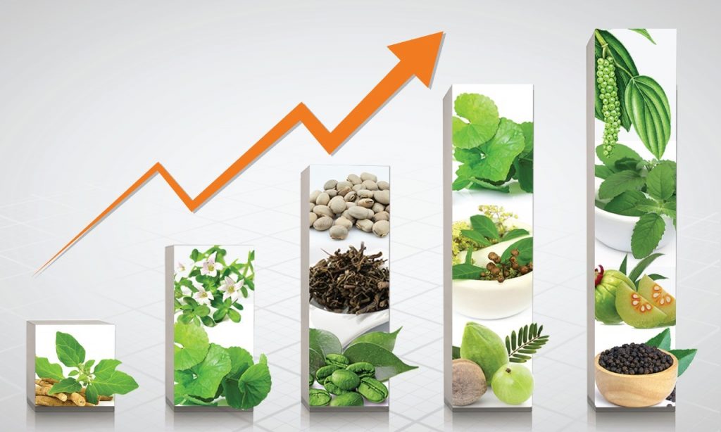 Evolution fo Nutraceutical Industry